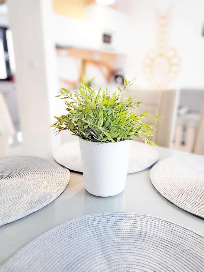 Apartamenty Zloty Widok ชเจอร์ค ภายนอก รูปภาพ