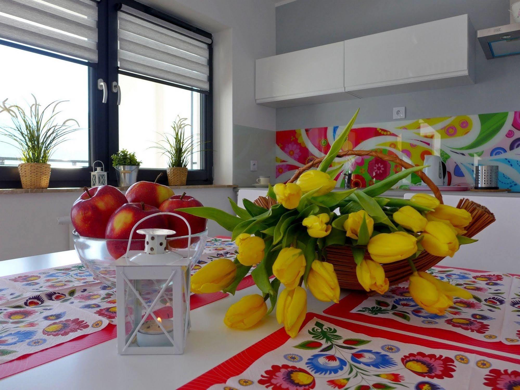 Apartamenty Zloty Widok ชเจอร์ค ภายนอก รูปภาพ